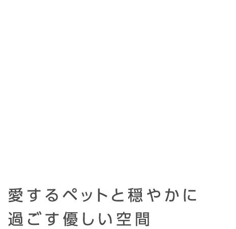 愛するペットと穏やかに過ごす優しい空間